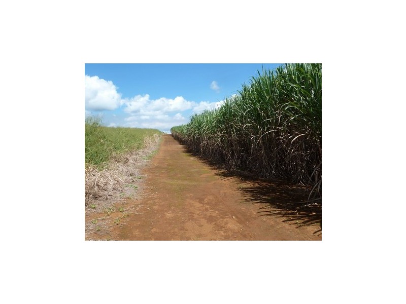 Bartle Frere QLD 4861