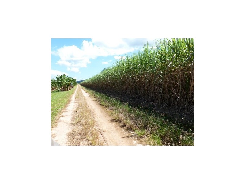 Bartle Frere QLD 4861