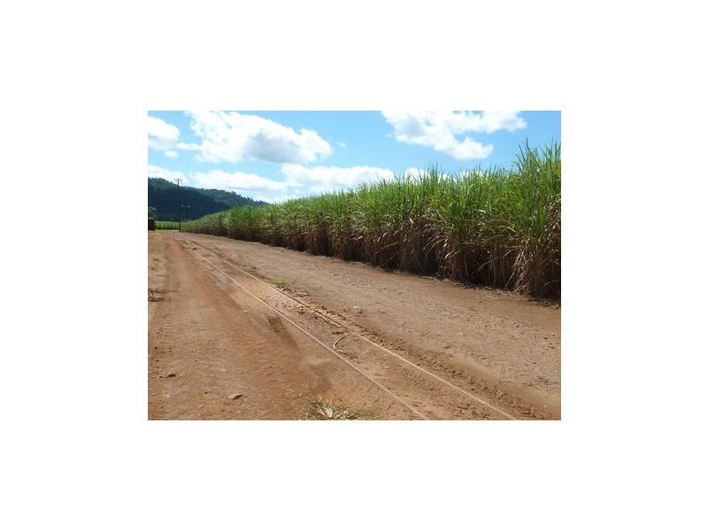 Bartle Frere QLD 4861