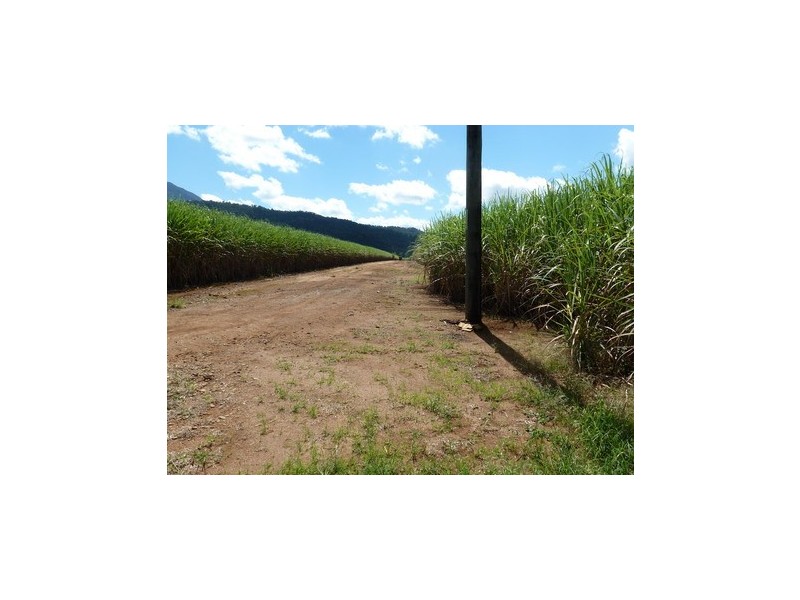 Bartle Frere QLD 4861