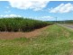 Bartle Frere QLD 4861