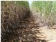 Bartle Frere QLD 4861
