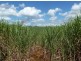 Bartle Frere QLD 4861