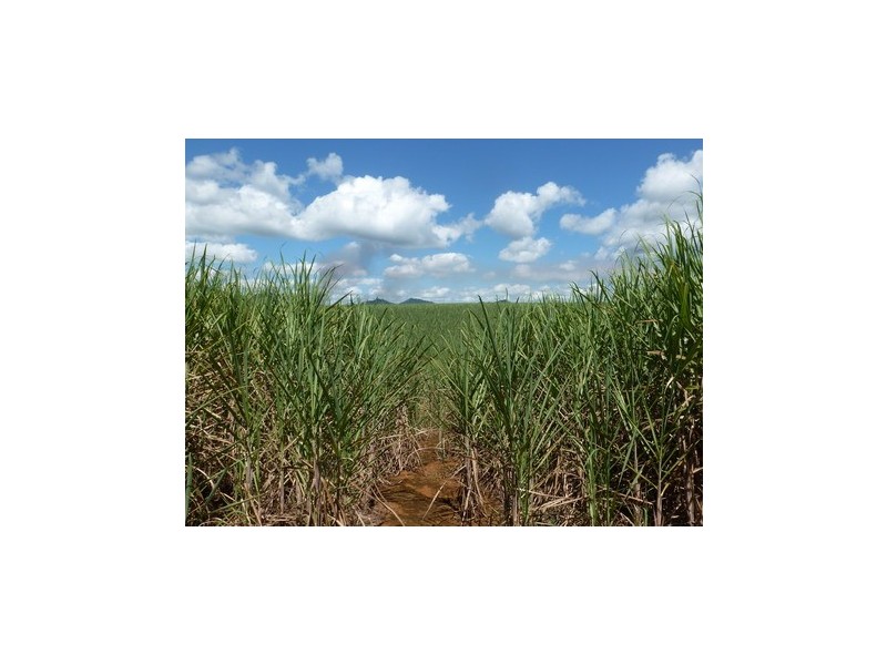 Bartle Frere QLD 4861