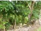 7 Gibson Road, Japoonvale QLD 4856