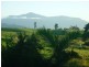 East Palmerston QLD 4860