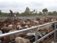 Silver Valley QLD 4872