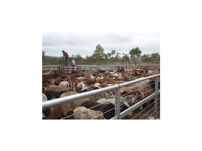 Silver Valley QLD 4872