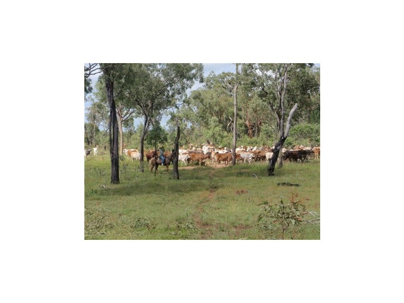 Silver Valley QLD 4872