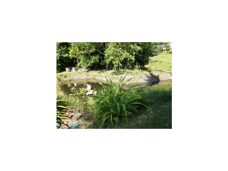 Japoonvale QLD 4856