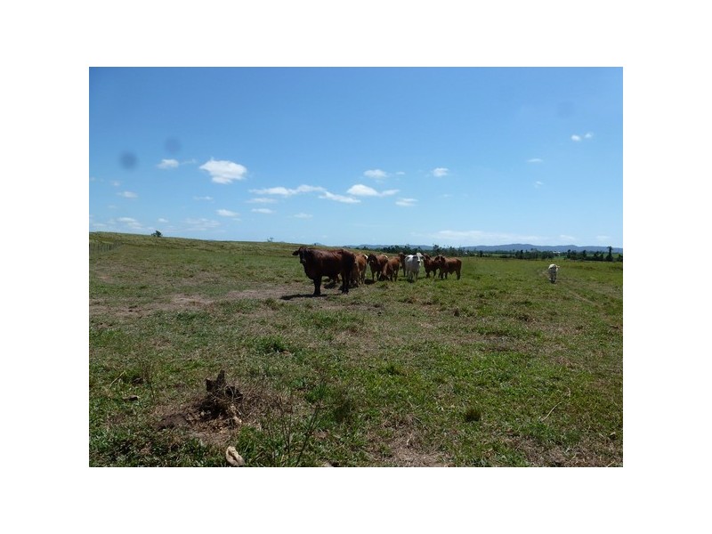 Warrubullen QLD 4871