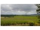 Utchee Creek QLD 4871