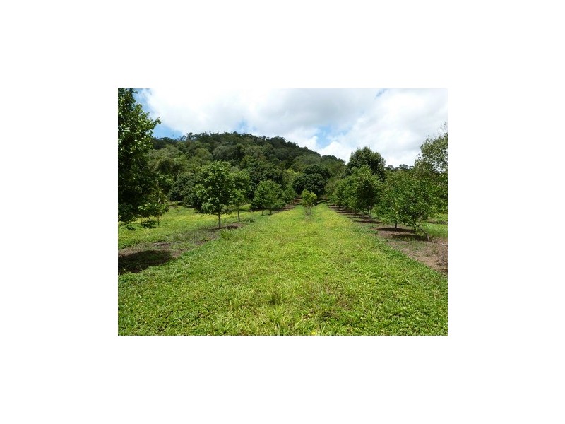 Woopen Creek QLD 4871