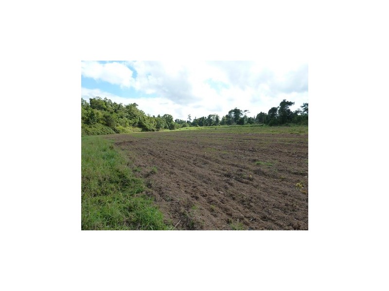 Utchee Creek QLD 4871