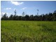 Mena Creek QLD 4871