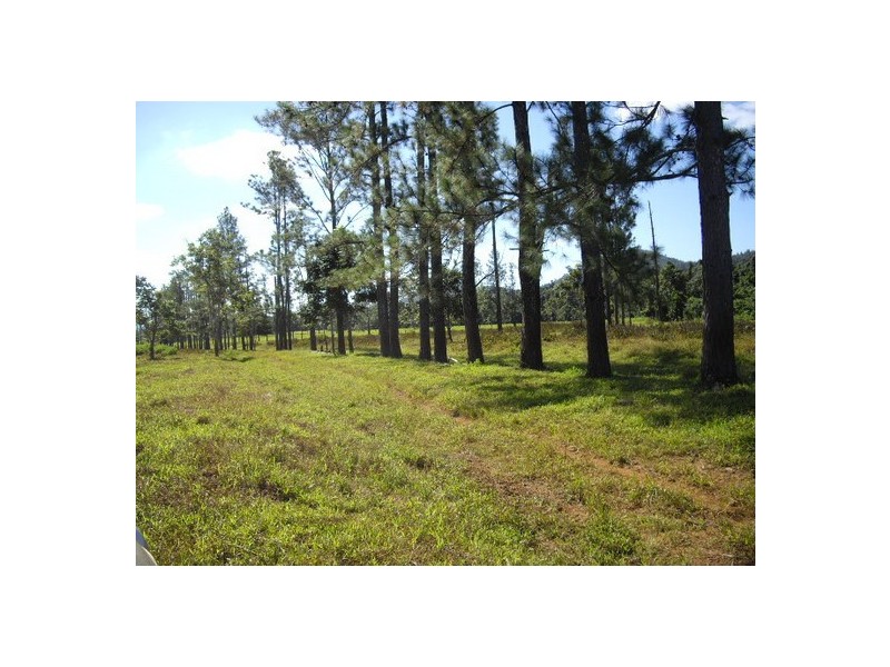 Mena Creek QLD 4871