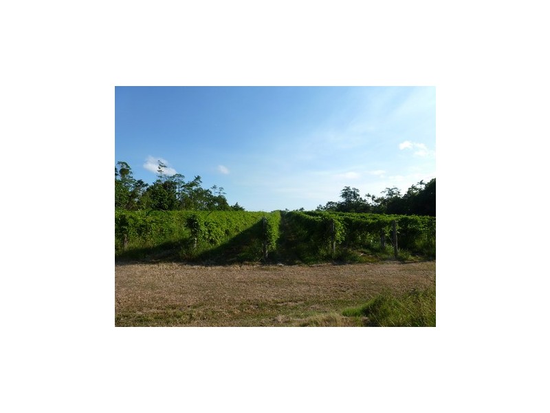 Martyville QLD 4858