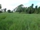 Pin Gin Hill QLD 4860