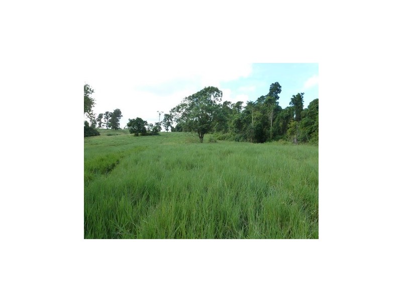 Pin Gin Hill QLD 4860