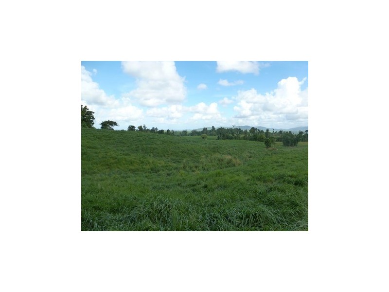 Pin Gin Hill QLD 4860