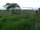 Pin Gin Hill QLD 4860