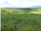 Mareeba QLD 4880