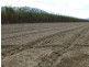 Babinda QLD 4861