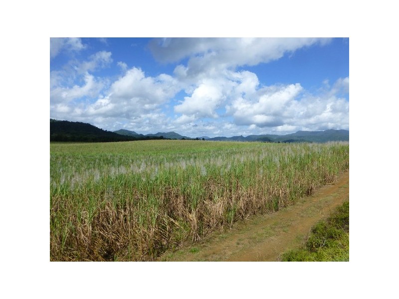 Bartle Frere QLD 4861