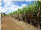 Bartle Frere QLD 4861
