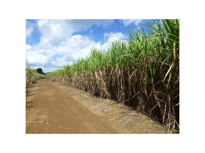Bartle Frere QLD 4861