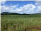 Bartle Frere QLD 4861