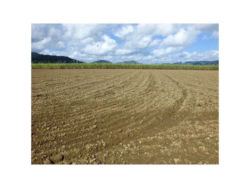 Bartle Frere QLD 4861