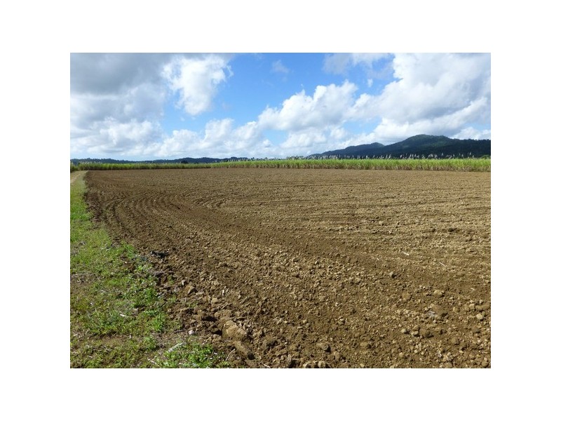 Bartle Frere QLD 4861
