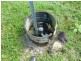 Bartle Frere QLD 4861