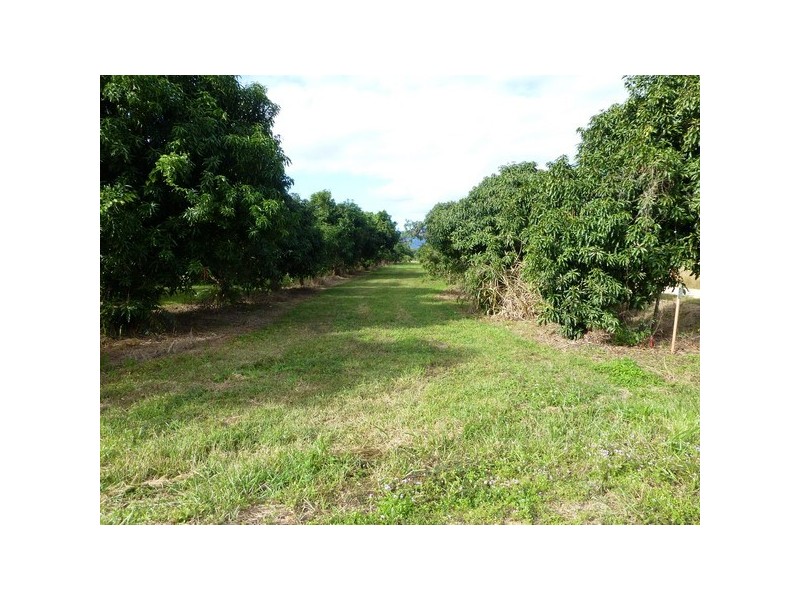 Cardwell QLD 4849
