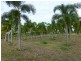 Cardwell QLD 4849