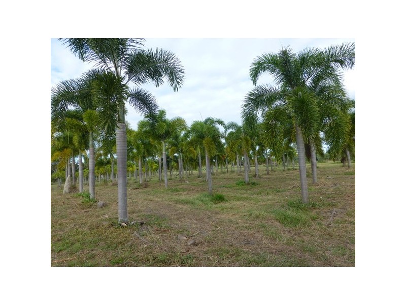 Cardwell QLD 4849