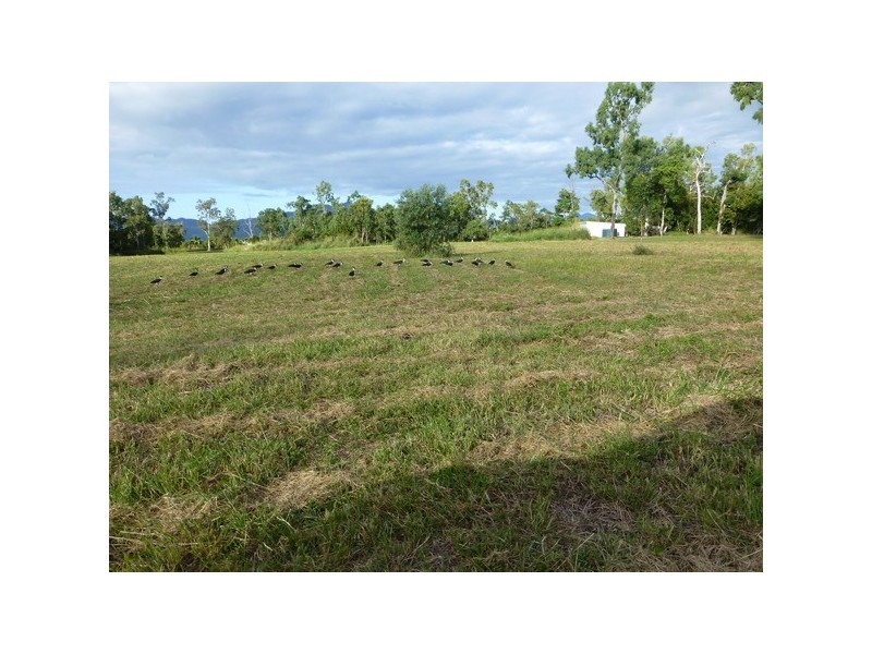 Cardwell QLD 4849