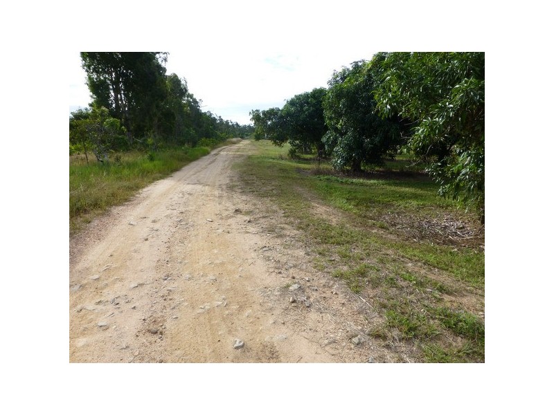 Cardwell QLD 4849