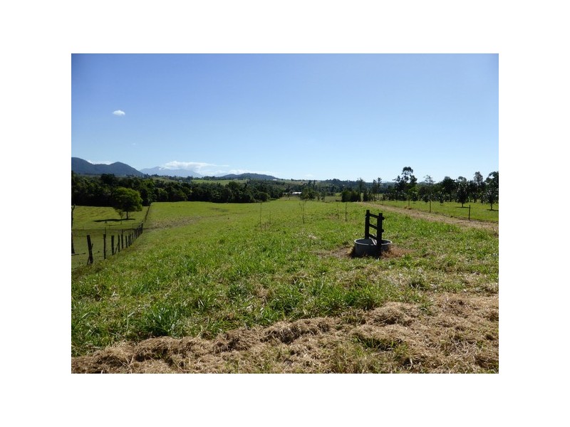 Mena Creek QLD 4871