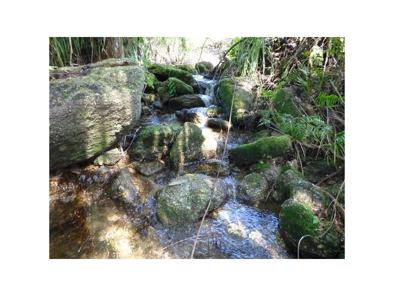 Babinda QLD 4861
