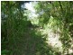 Babinda QLD 4861