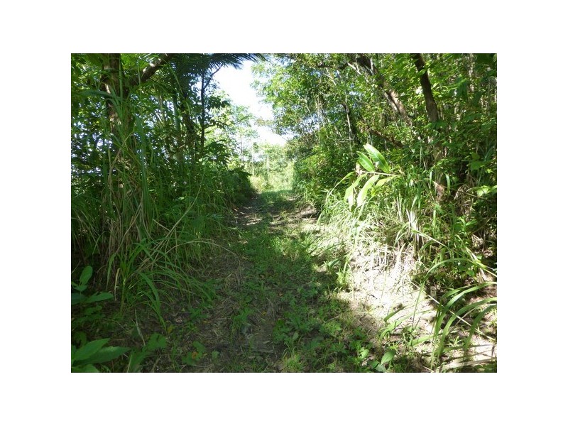 Babinda QLD 4861