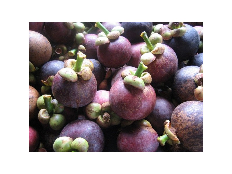 Coorumba QLD 4860