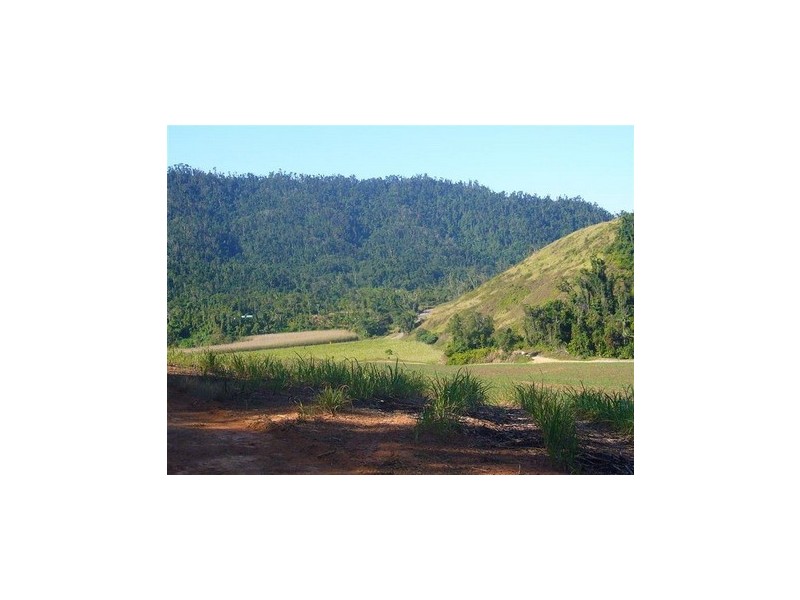 Japoonvale QLD 4856