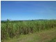 Innisfail QLD 4860