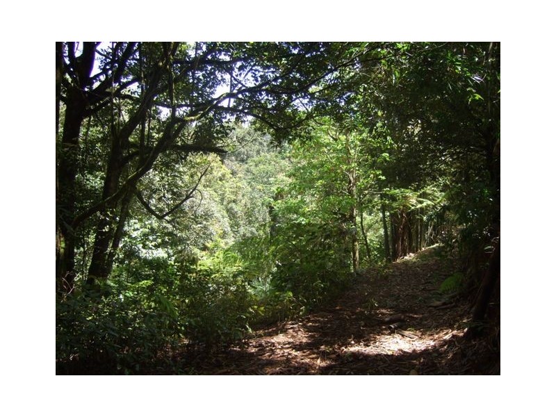 Millaa Millaa QLD 4886