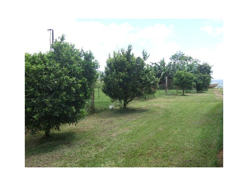 Millaa Millaa QLD 4886