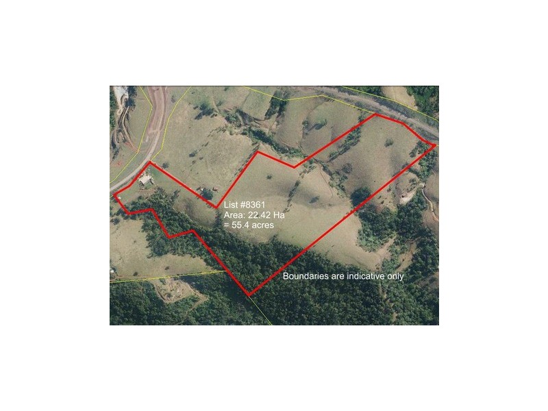 Millaa Millaa QLD 4886