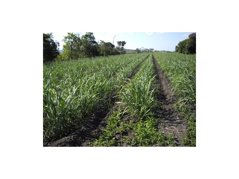 Kurrimine Beach QLD 4871